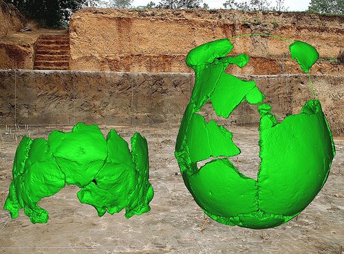chinaskull