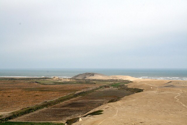 huacaprieta2