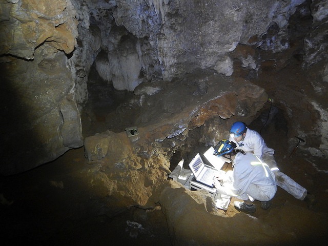 homonaledi14