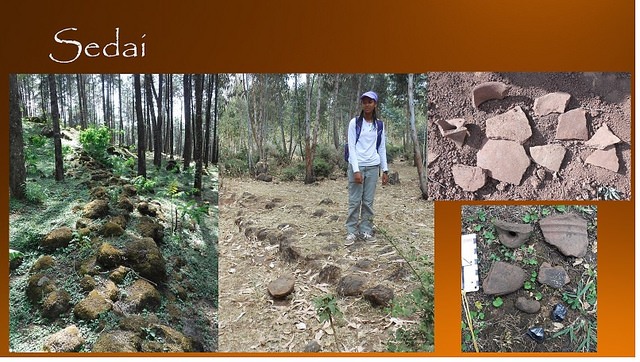 Fig 14 - Sadai Pics