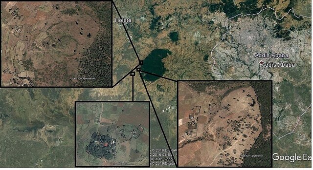 Fig 13 - GE Sadai