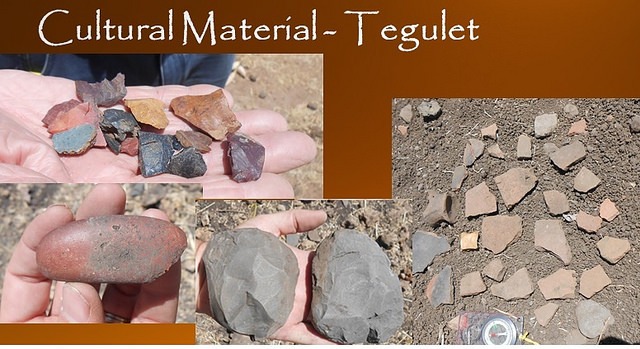 Fig 18 - Tegulet CM collection