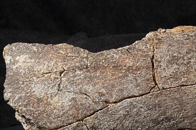 CMSSpecimen2