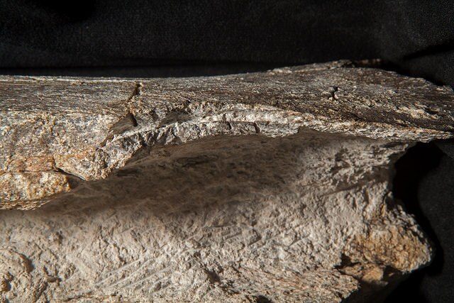 CMSSpecimen9