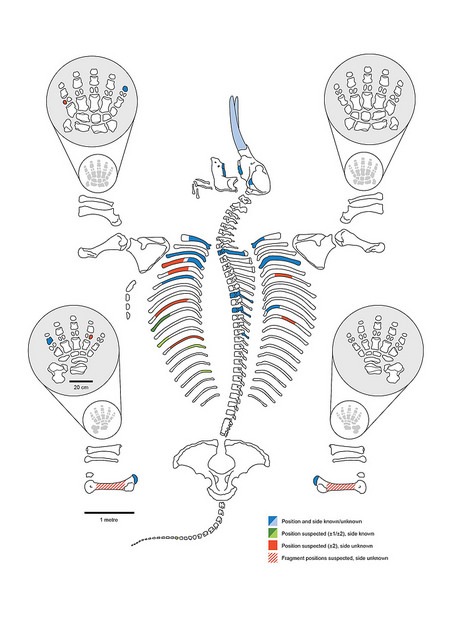 CMSFigure1
