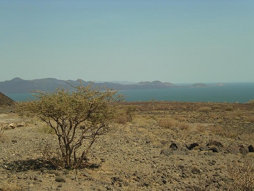 laketurkana