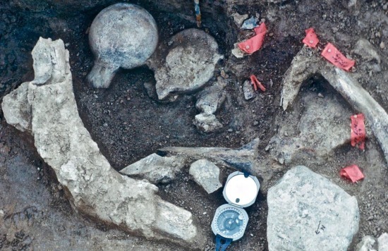 The Extraordinary Case of the San Diego Mastodon