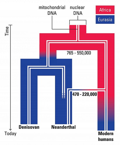 dnadispersal3
