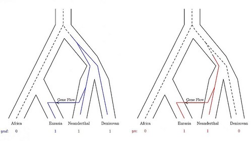 genetree