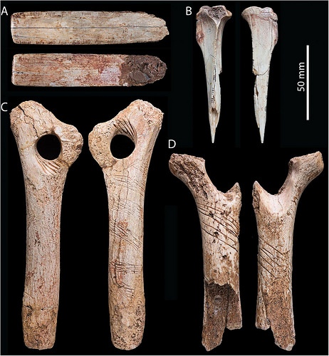 engravedbones