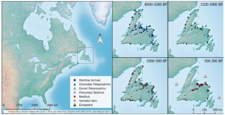 newfoundland