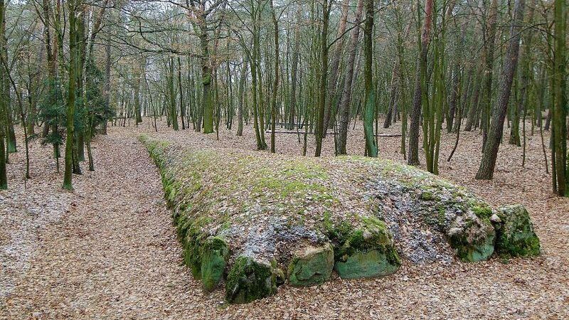 gorytomb2