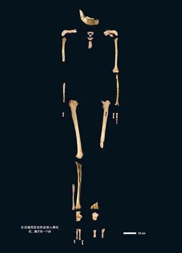 chineseskeleton