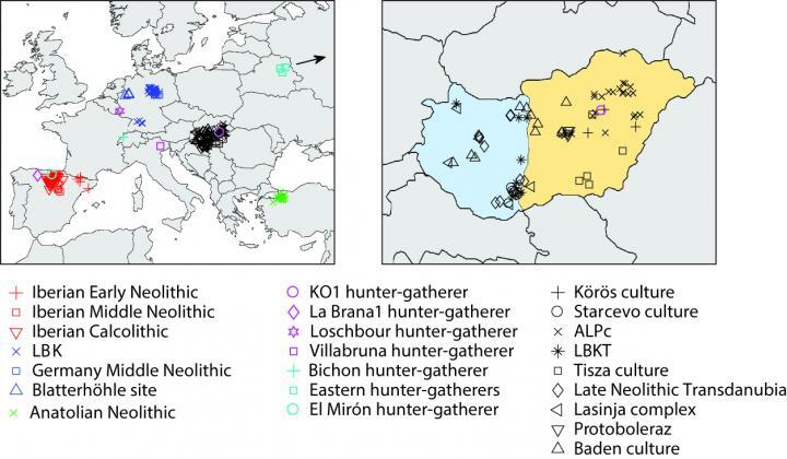 neolithicstudy