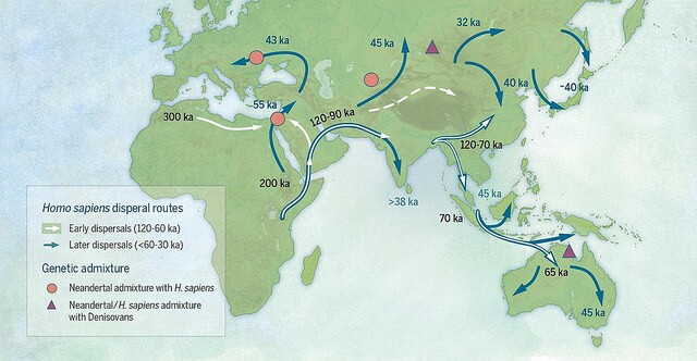 migrationroutes