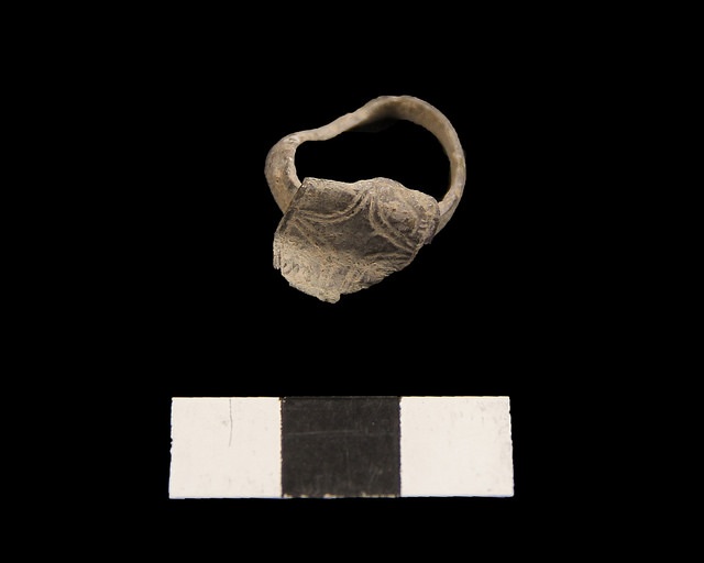 striplingfig3