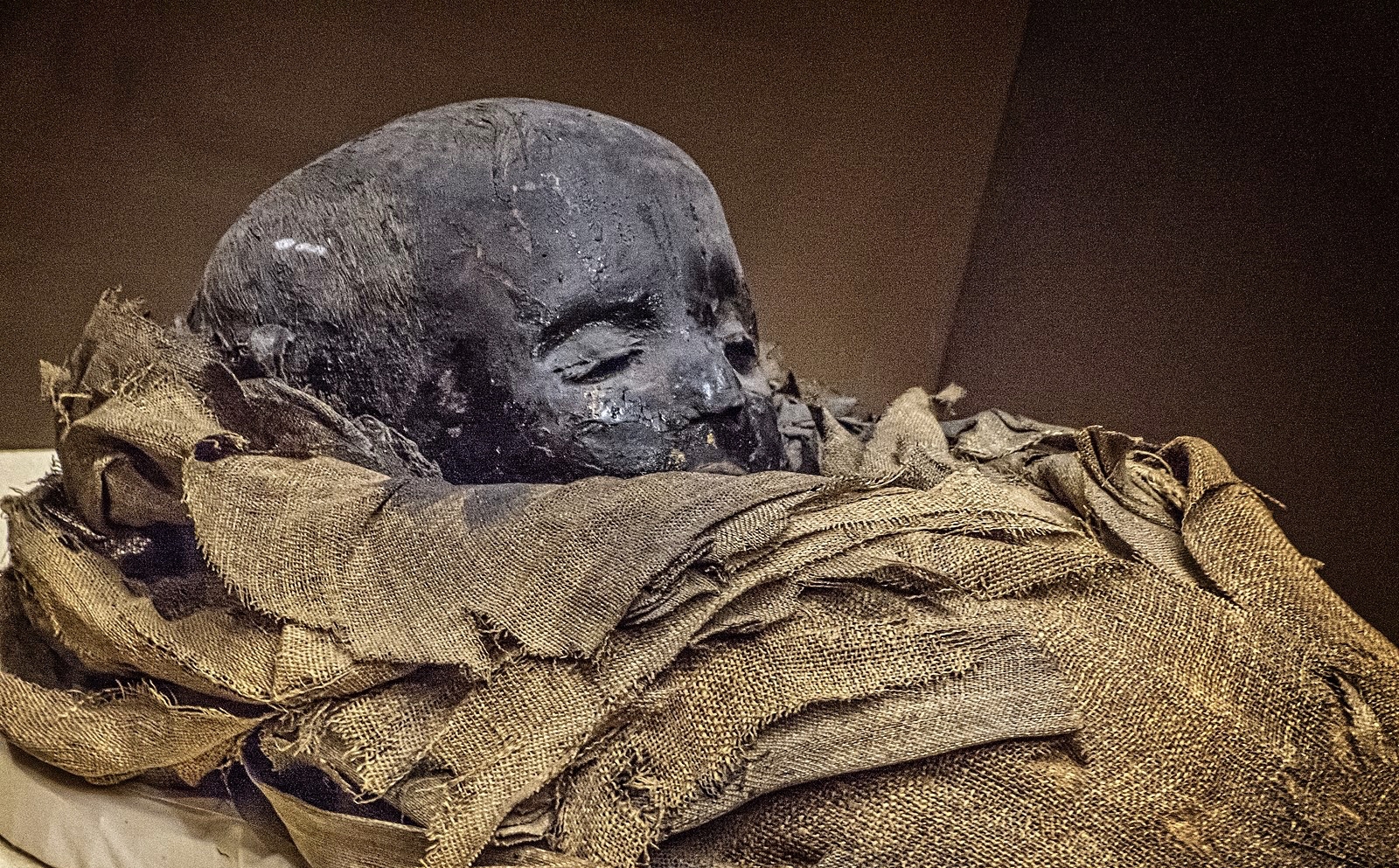A Few Words About Mummies
